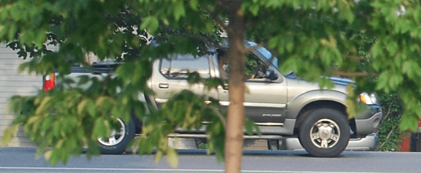 Vehicle partially hidden behind tree