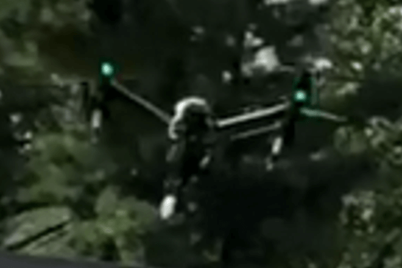 Drone with heavy foliage in background