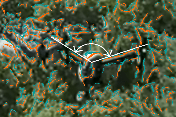 Drone detection while hidden in trees